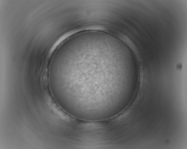 X0000113231044200909171534