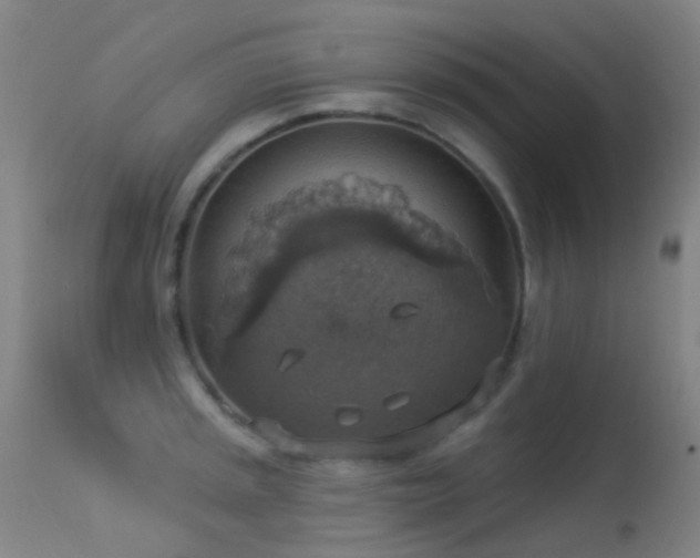 X0000113231045200909171534
