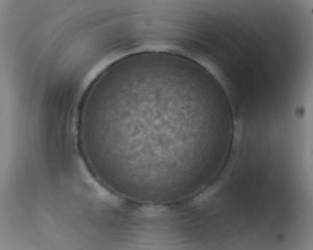 X0000113231046200909171534