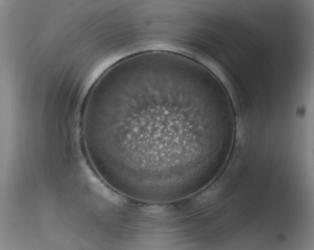 X0000113231048200909171534