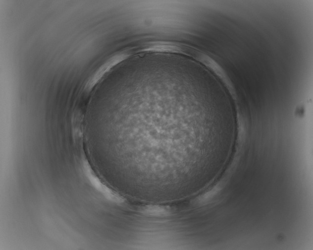 X0000113231049200909171534