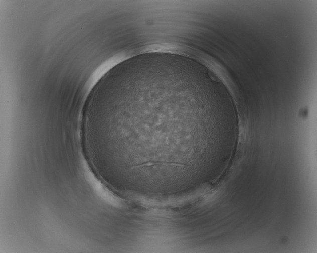 X0000113231050200909171534
