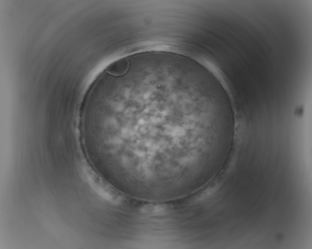 X0000113231051200909171534