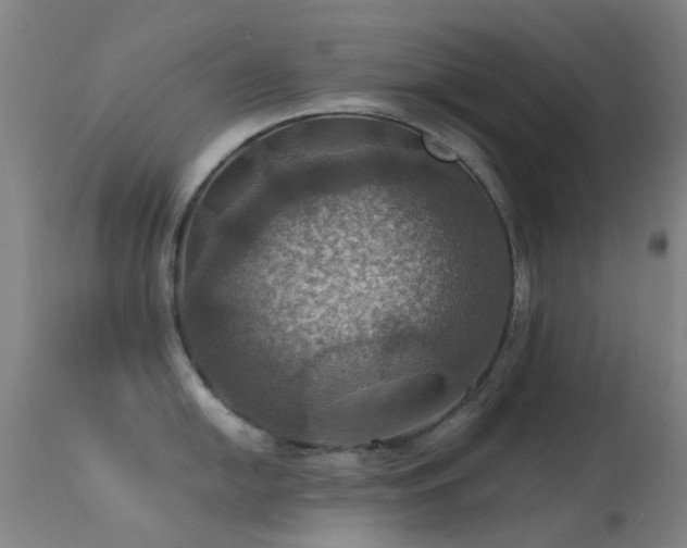 X0000113231054200909171534