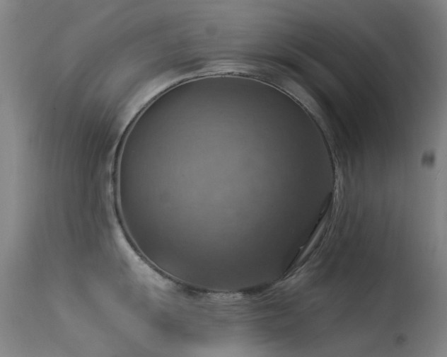 X0000113231055200909171534