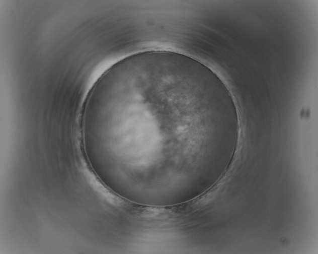 X0000113231056200909171534