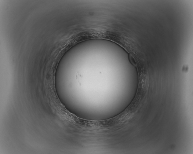 X0000113231057200909171534