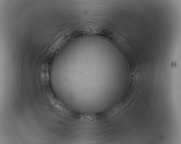 X0000113231058200909171534