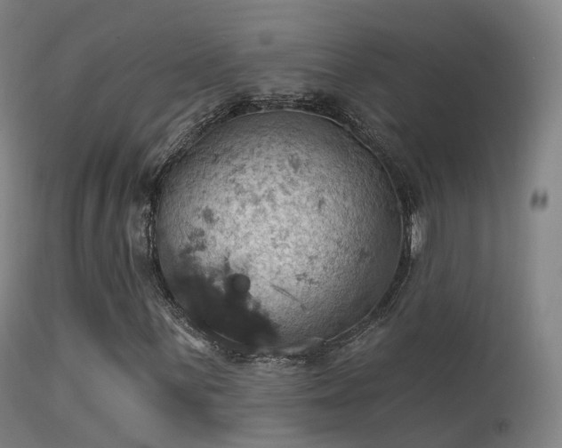 X0000113231059200909171534