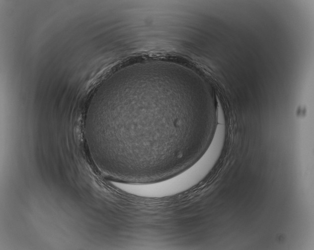 X0000113231060200909171534