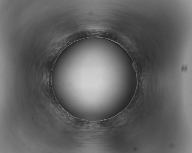 X0000113231061200909171534
