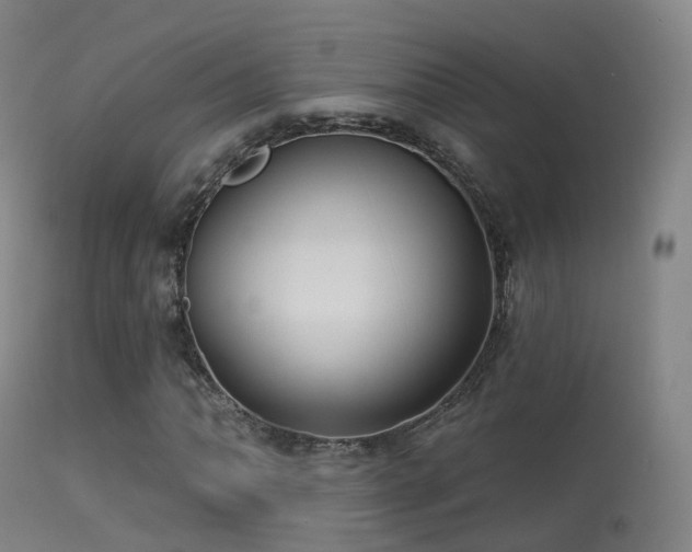 X0000113231062200909171534