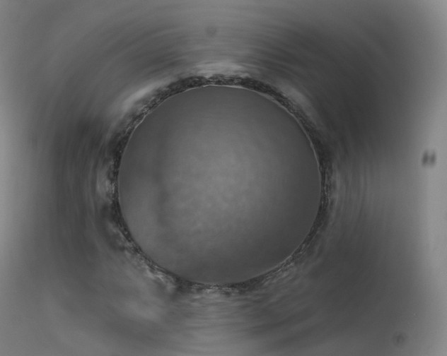 X0000113231063200909171534