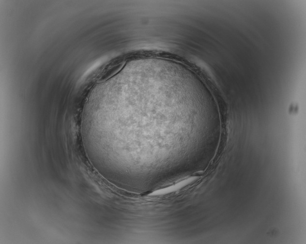 X0000113231064200909171534