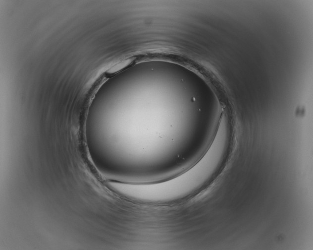 X0000113231065200909171534
