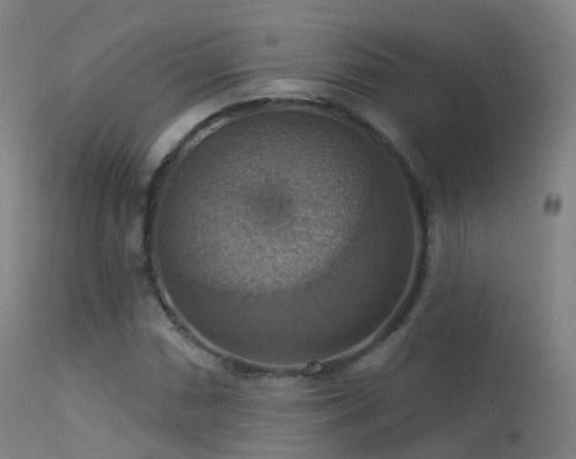 X0000113231066200909171534