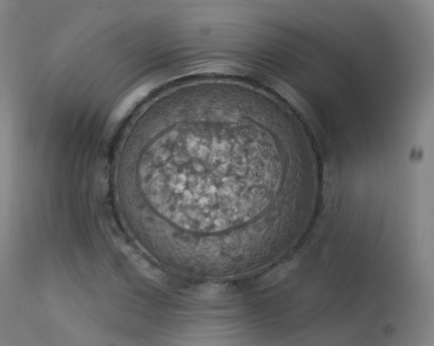 X0000113231067200909171534