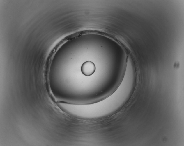 X0000113231068200909171534