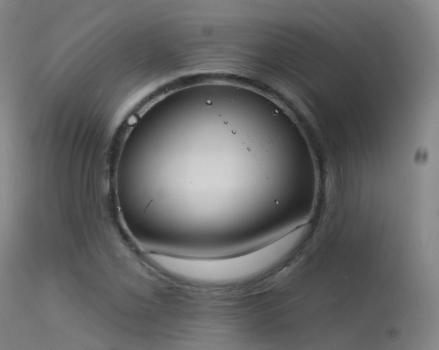 X0000113231069200909171534