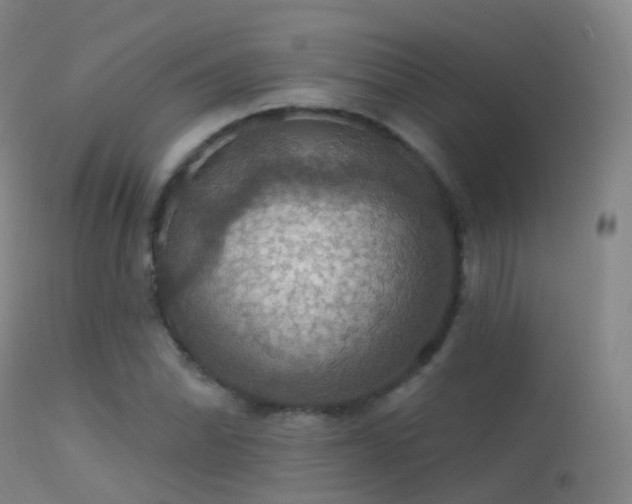 X0000113231070200909171534