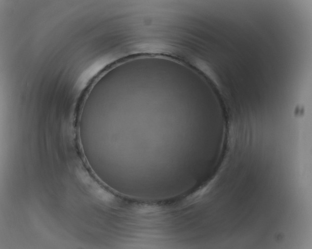 X0000113231071200909171534