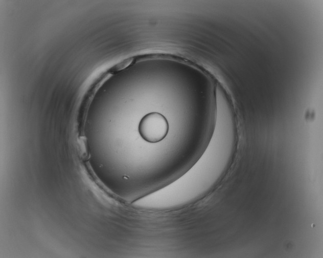 X0000113231072200909171534