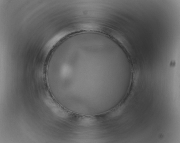 X0000113231074200909171534