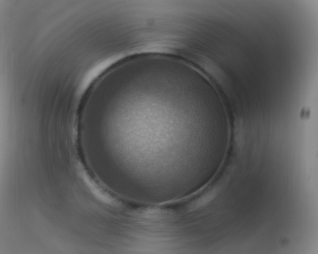 X0000113231077200909171534