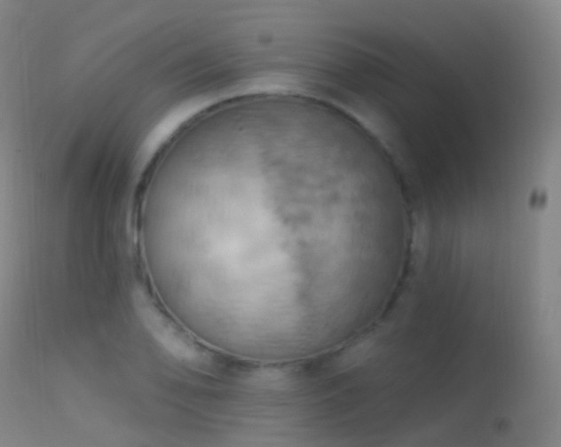 X0000113231078200909171534