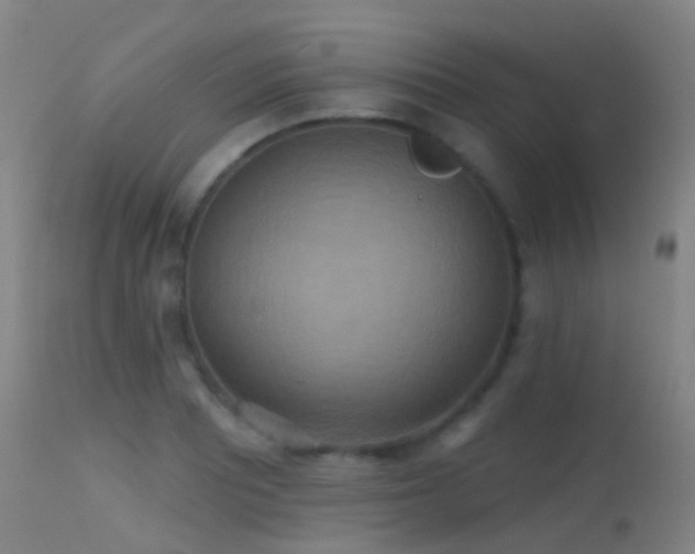 X0000113231081200909171533