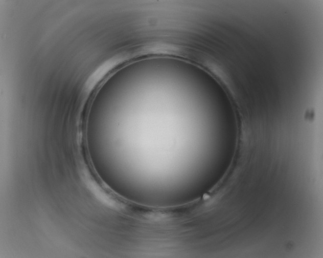 X0000113231082200909171533