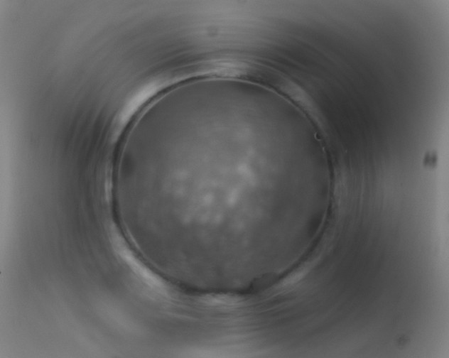 X0000113231083200909171533