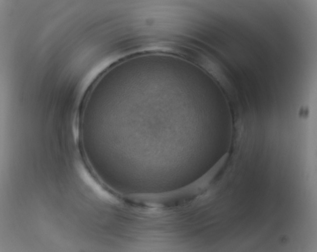 X0000113231084200909171533