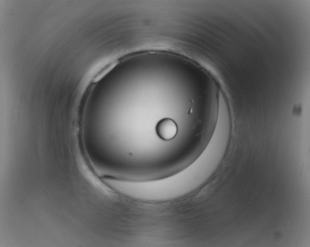 X0000113231088200909171533