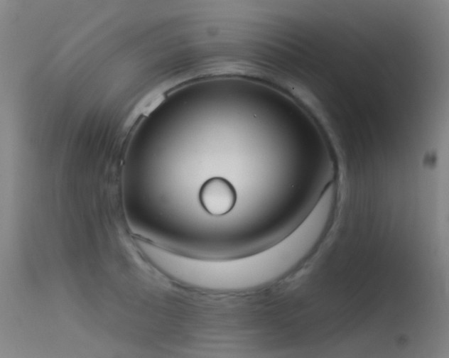 X0000113231089200909171533