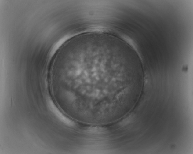 X0000113231091200909171533