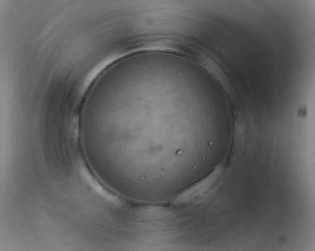 X0000113231092200909171533