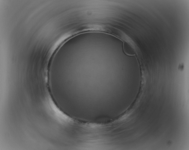 X0000113231095200909171533