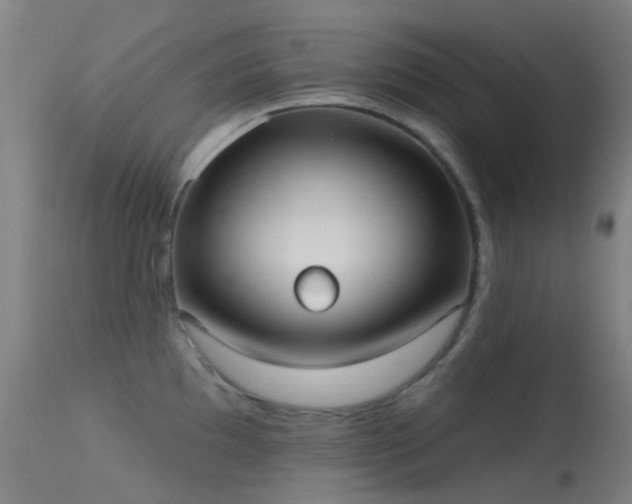 X0000113231097200909171533
