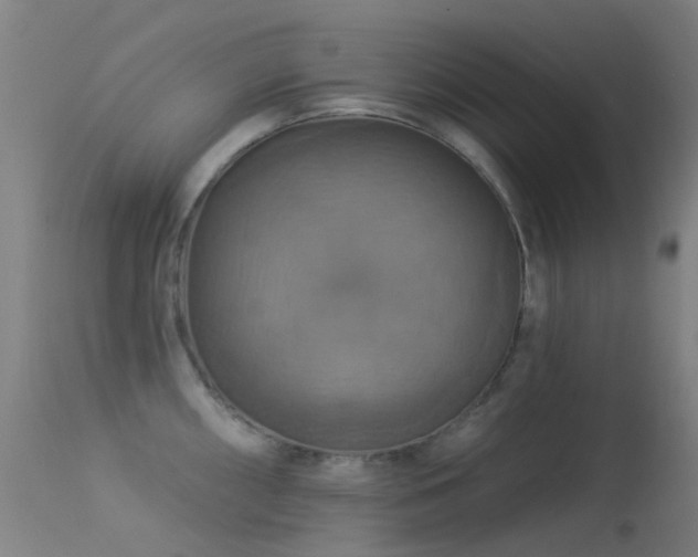X0000113231098200909171533