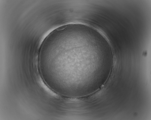 X0000113231100200909171533