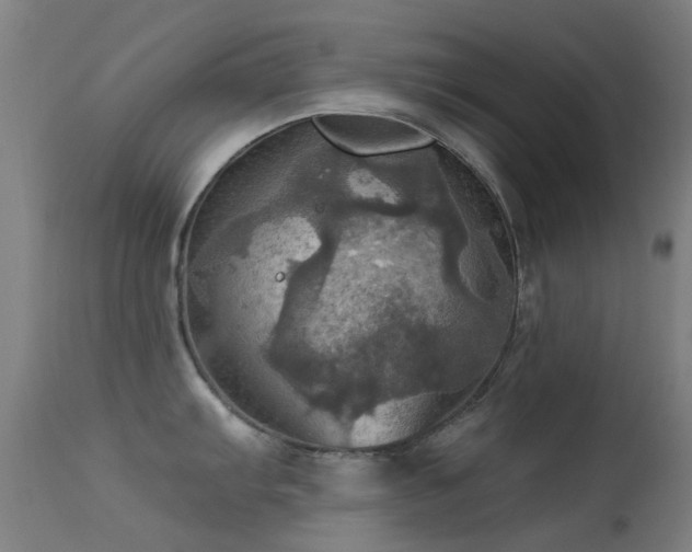X0000113231103200909171533