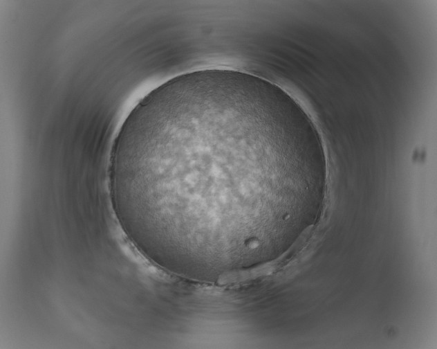 X0000113231104200909171533