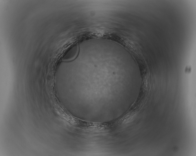 X0000113231105200909171532