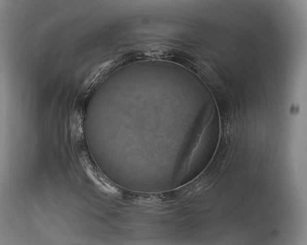 X0000113231106200909171532