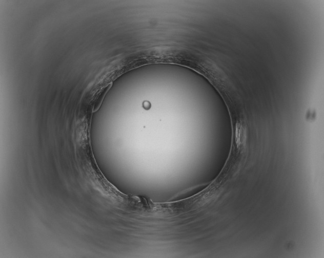 X0000113231107200909171532