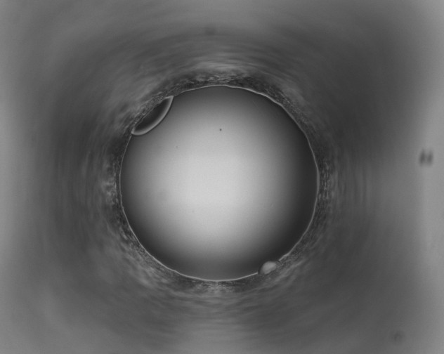 X0000113231109200909171532