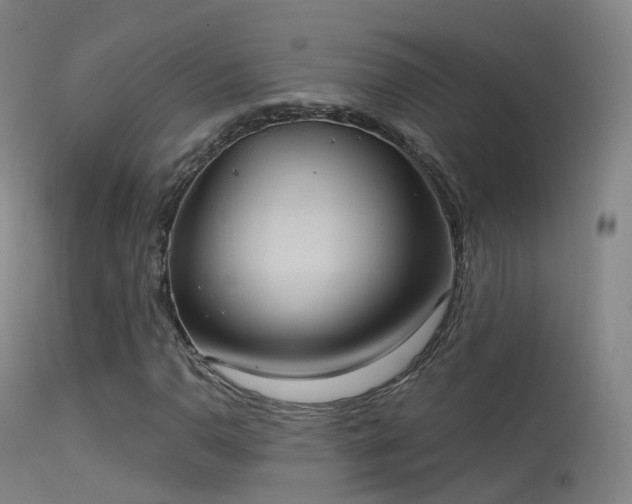 X0000113231110200909171532