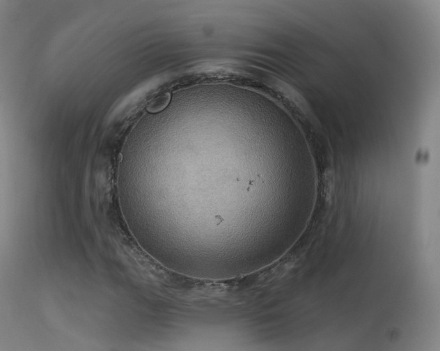 X0000113231111200909171532