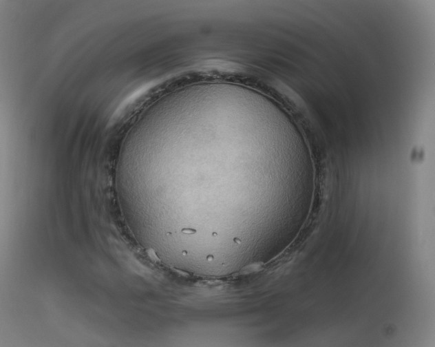 X0000113231112200909171532